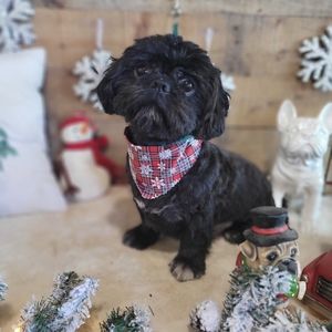 Meet your Posher, sellersgate